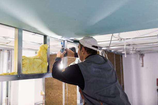 Best Spray Foam Insulation  in Tice, FL